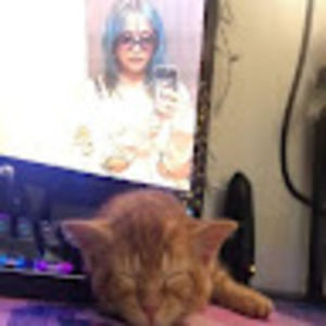 Meet your Posher, Justy busty -_-